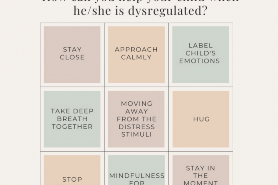 The Power of Self-Regulation and Co-Regulation in Parenting